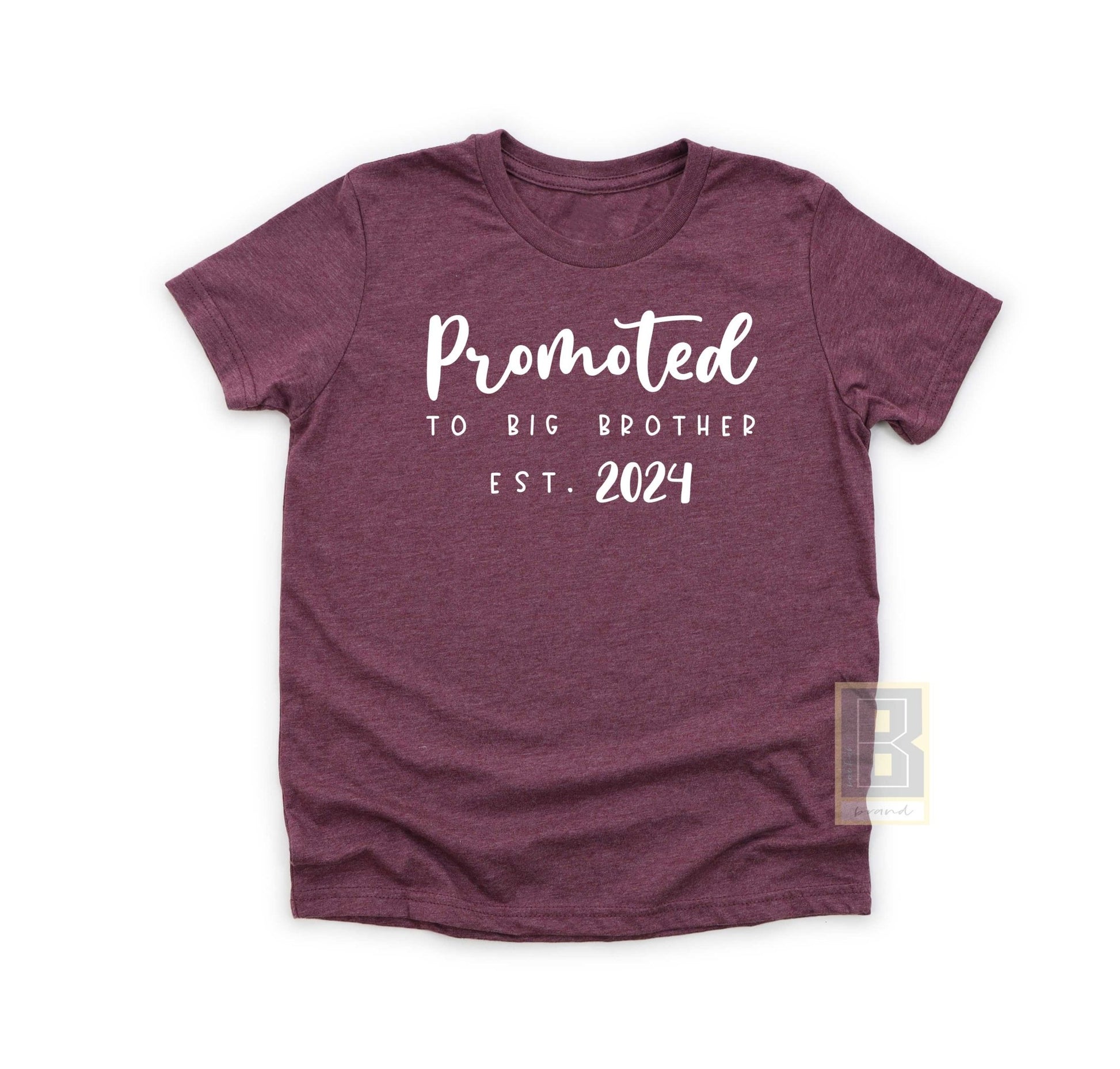 Promoted To Big Brother 2024 - BookahShirts