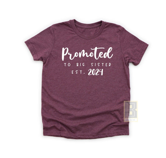 Promoted To Big Sister 2024 - BookahShirts